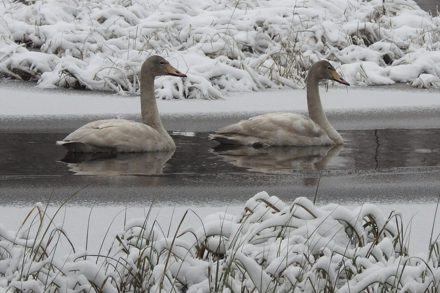 Valokuvaaja: Maarit Siitonen