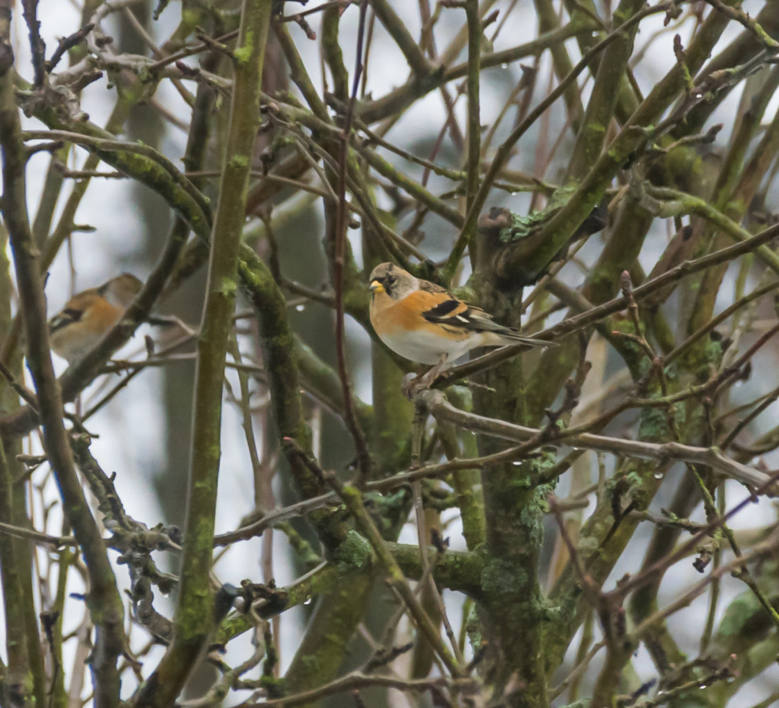 Valokuvaaja: Paul Stevens