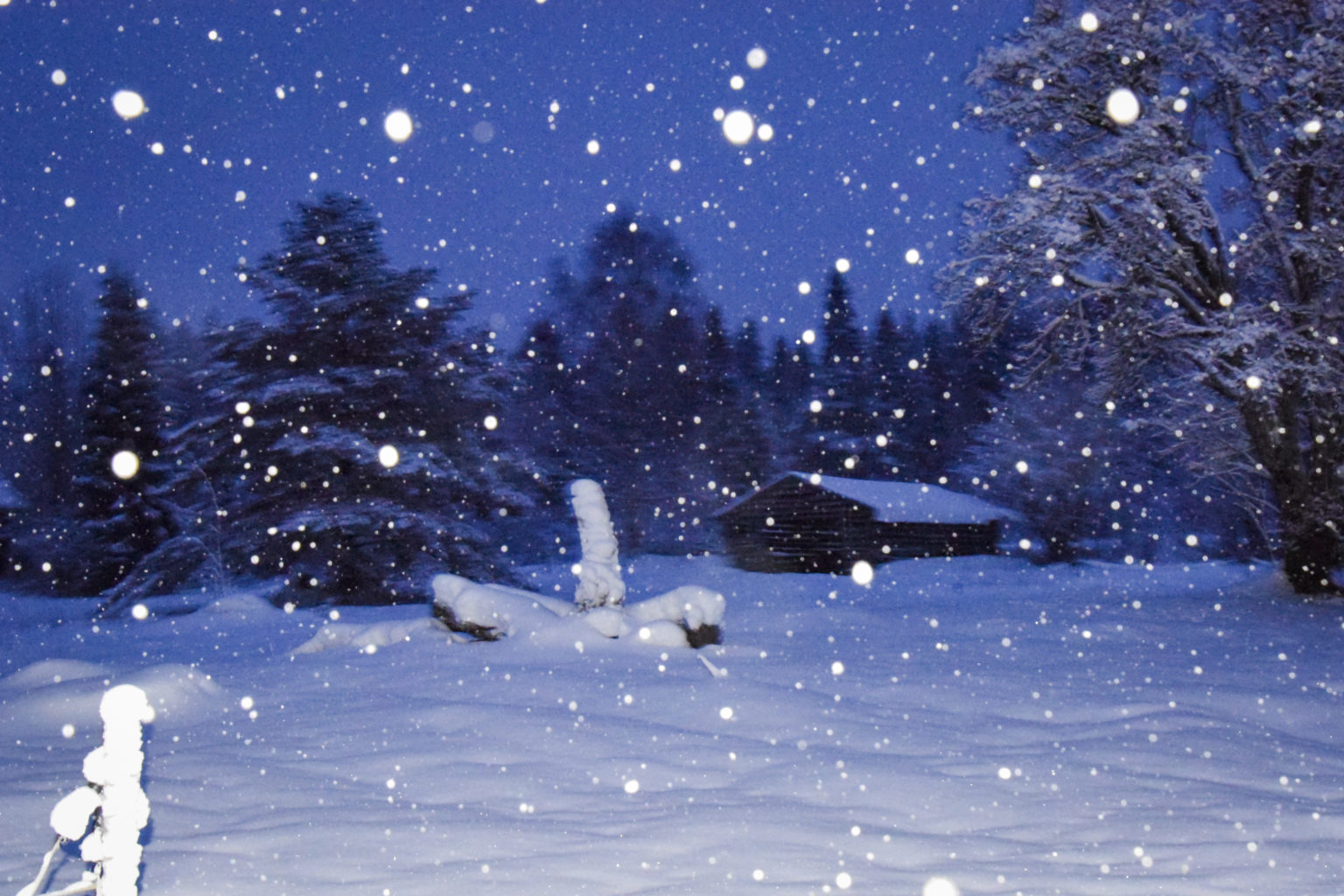 Valokuvaaja: Maija Savolainen