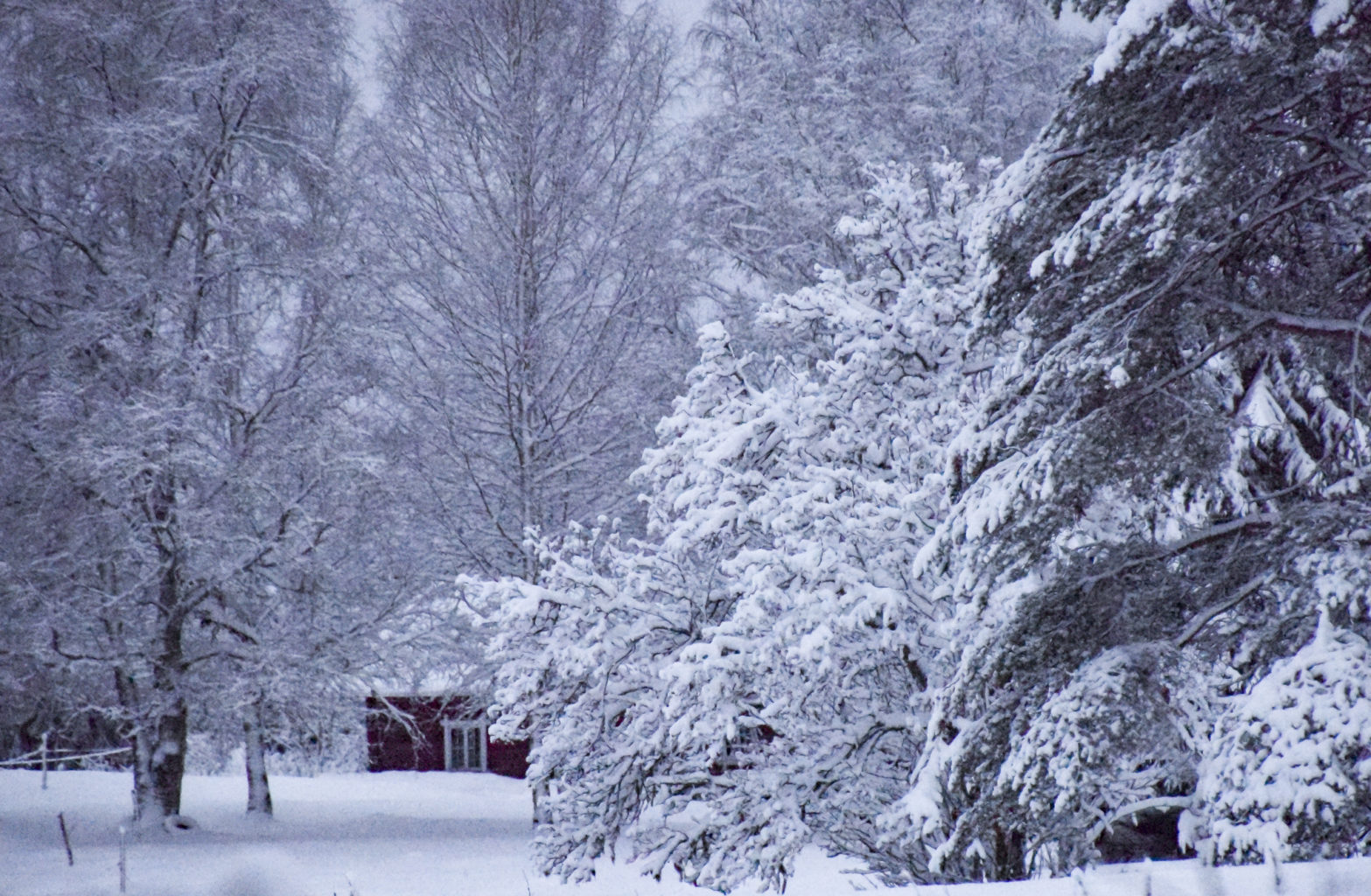 Valokuvaaja: Maija Savolainen