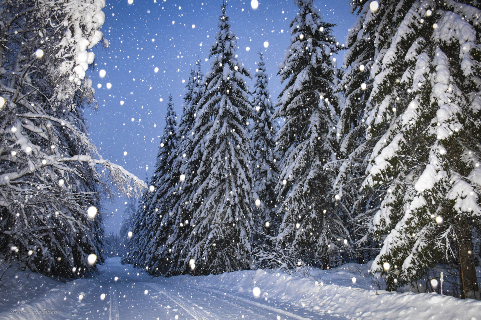 Valokuvaaja: Maija Savolainen