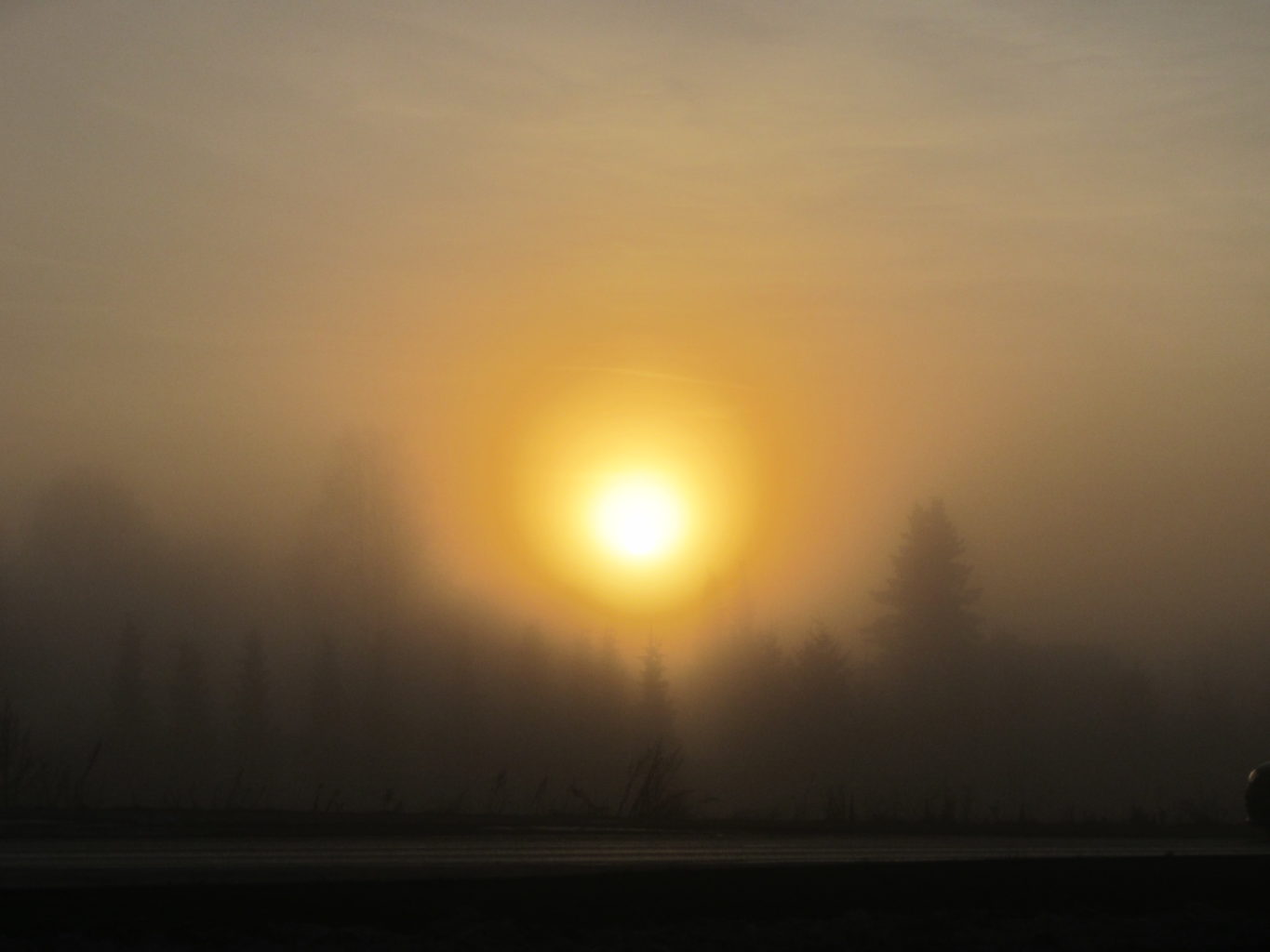 Valokuvaaja: Risto Kangassalo