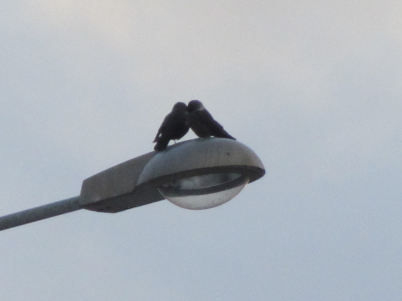 Valokuvaaja: Risto Kangassalo Valokuvaaja: Risto Kangassalo