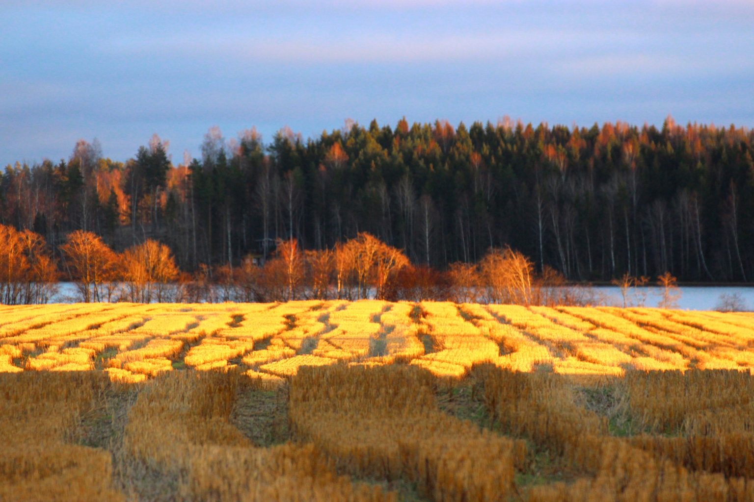 Valokuvaaja: Irja lehtinen