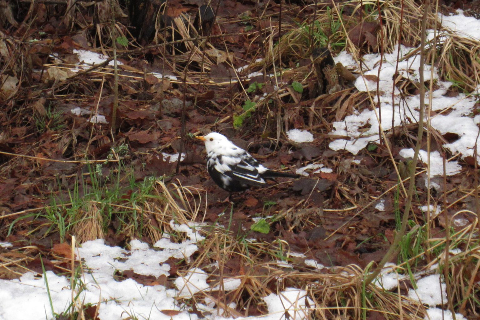 Valokuvaaja: Jouni Uski