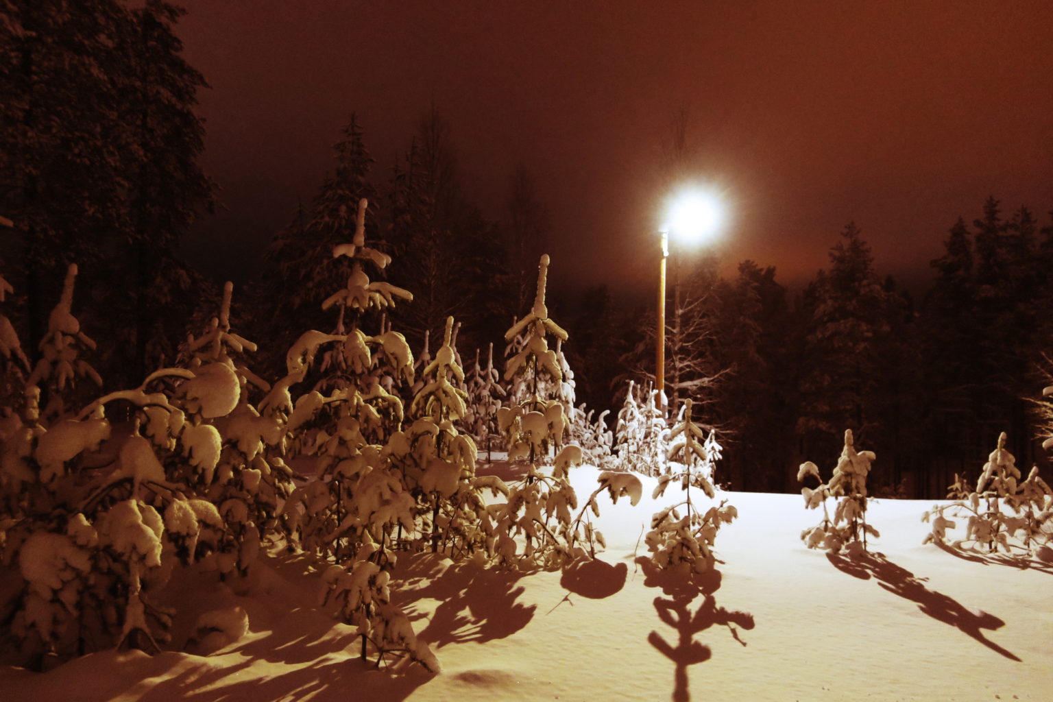 Valokuvaaja: Arto Alasuutari