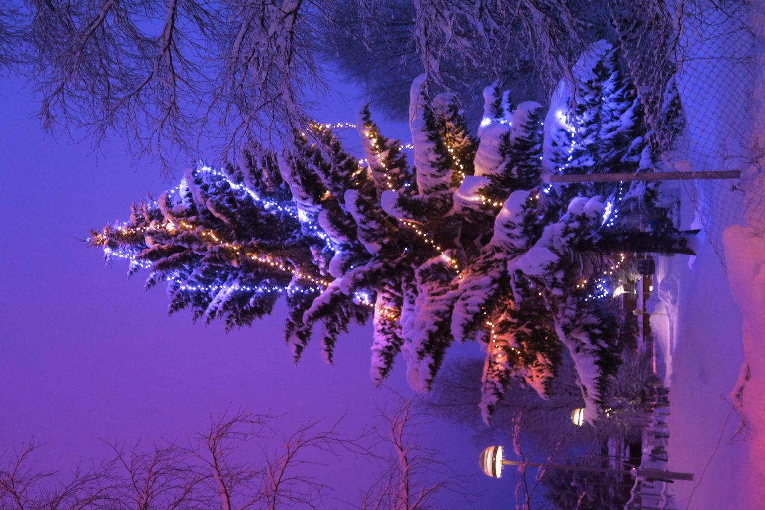 Valokuvaaja: Arto Alasuutari