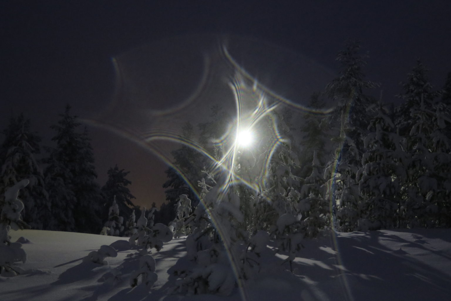 Valokuvaaja: Arto Alasuutari