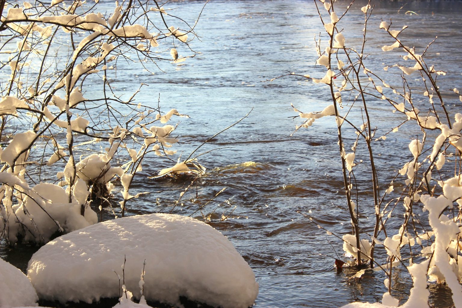 Valokuvaaja: Irja lehtinen Valokuvaaja: Irja lehtinen