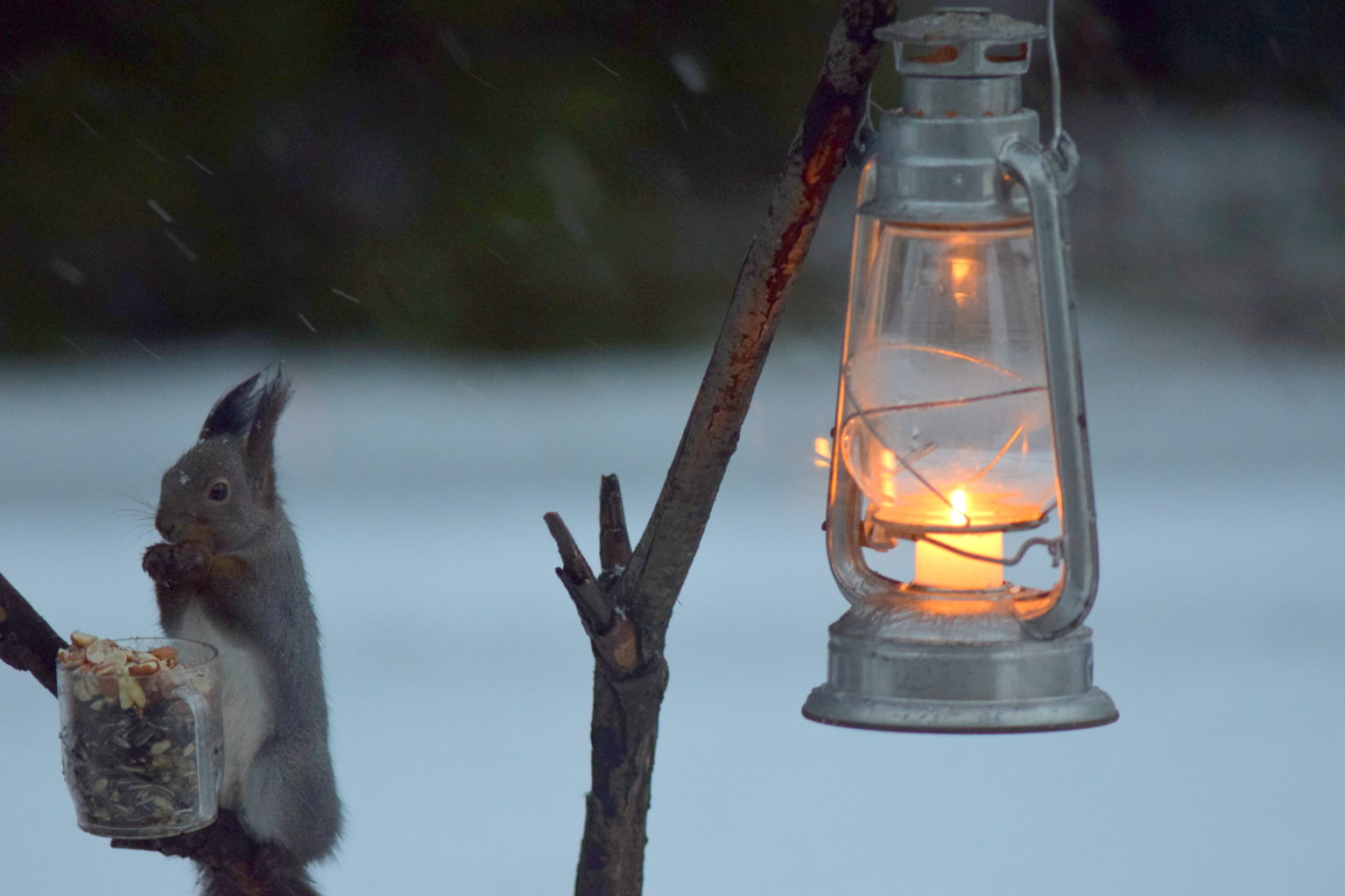 Valokuvaaja: Kalle Asikainen