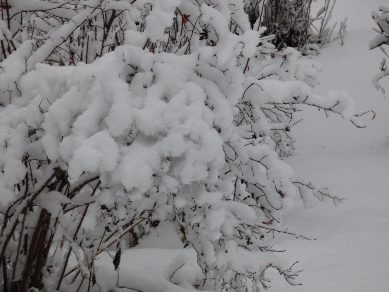 Valokuvaaja: Hannu Rissanen