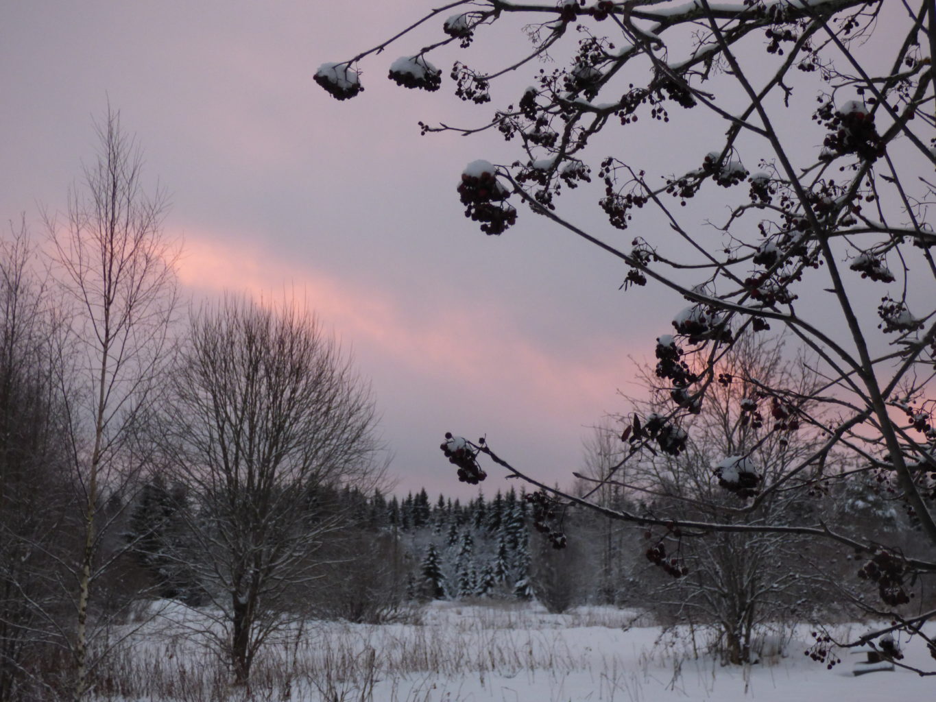 Valokuvaaja: Hannu Rissanen