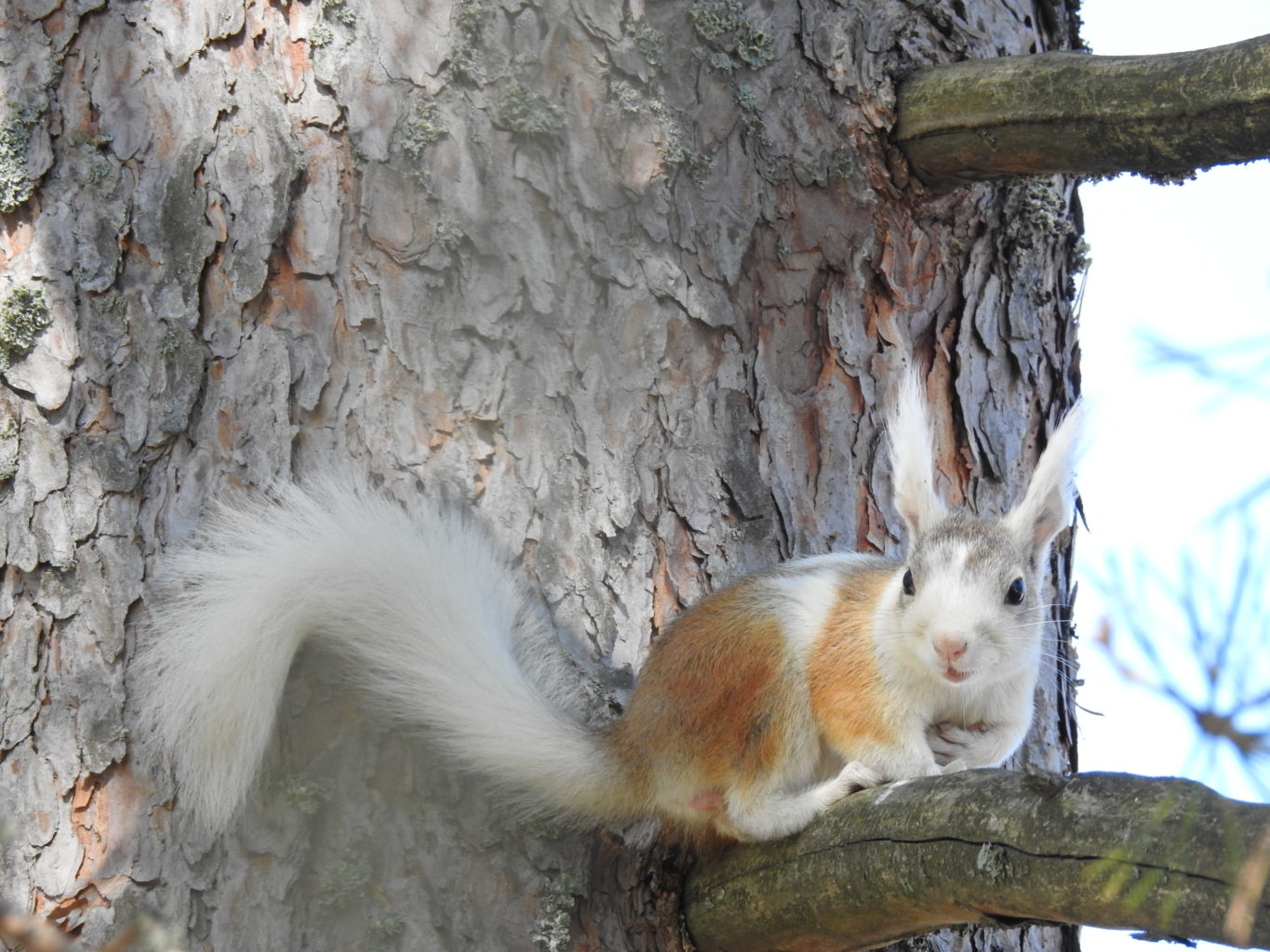 Valokuvaaja: Sirkka Tervo