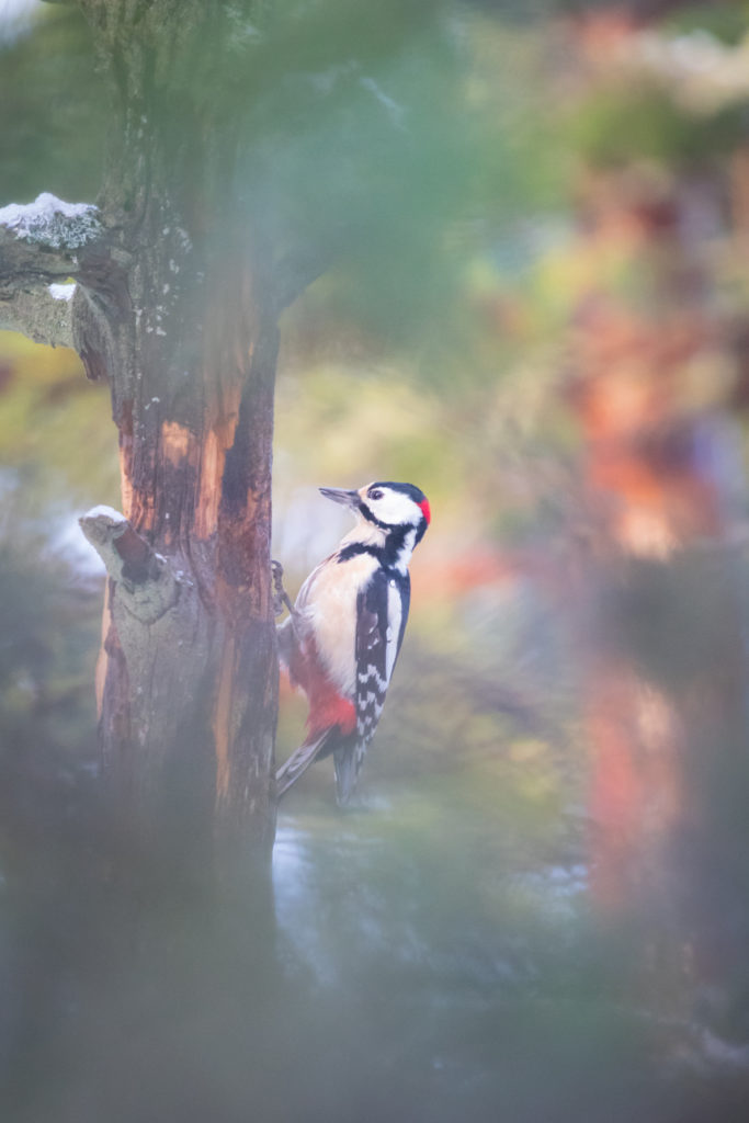 Valokuvaaja: Mikko Ekqvist