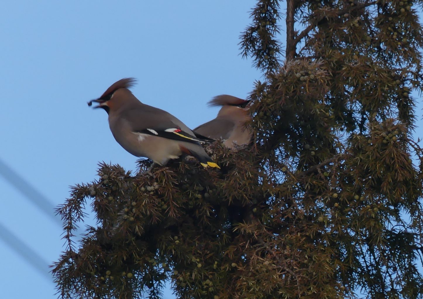 Valokuvaaja: Raili Paavola