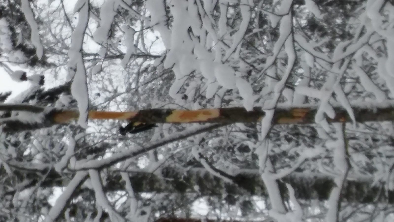 Valokuvaaja: Tuula Nylander