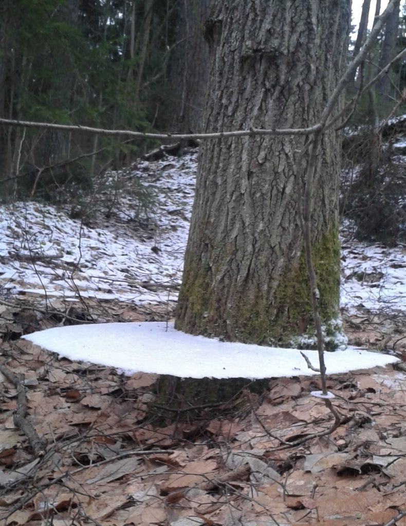 Valokuvaaja: Katri Sihvola