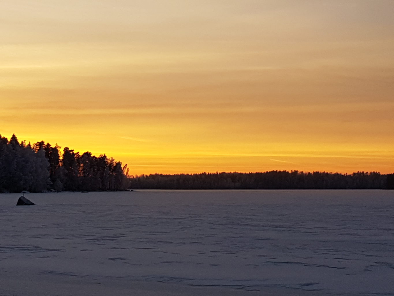 Valokuvaaja: Jaakko Maijala