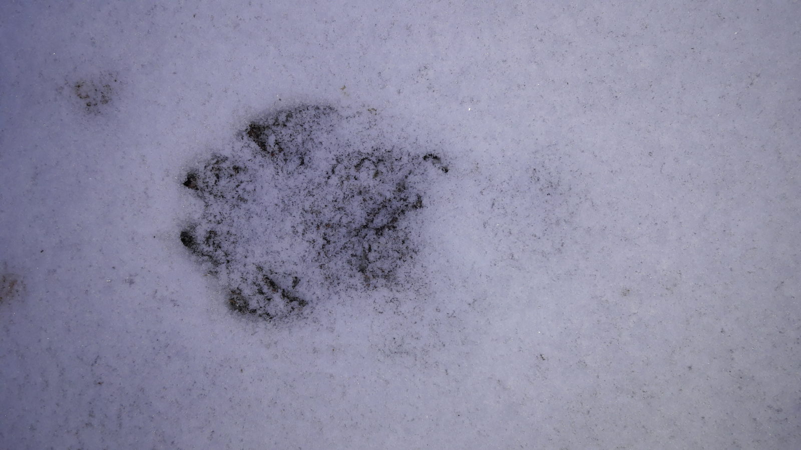 Valokuvaaja: Kristina Björkqvist