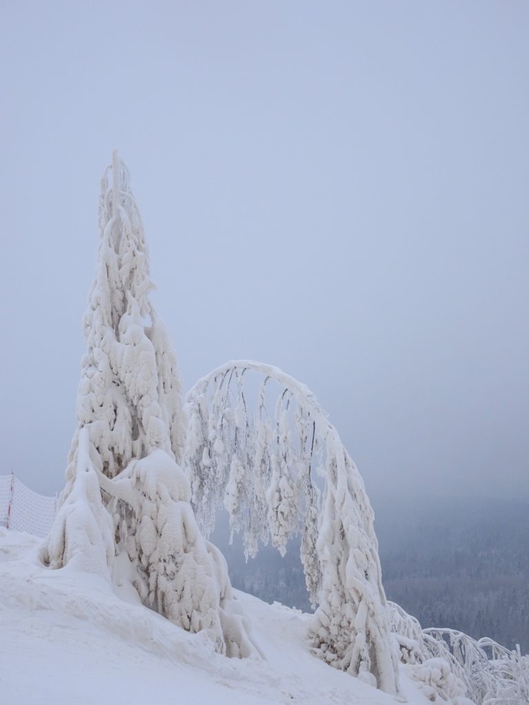 Valokuvaaja: Irja lehtinen