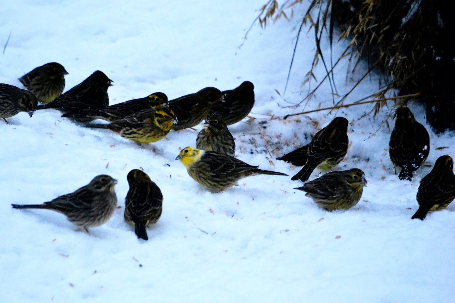 Valokuvaaja: Leena Latvala