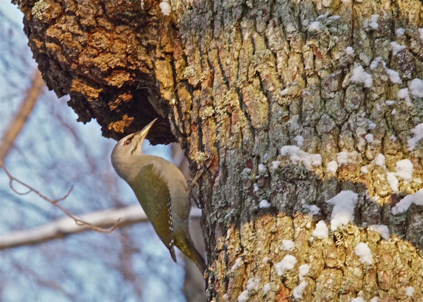Valokuvaaja: Markku Ranta-Eilola