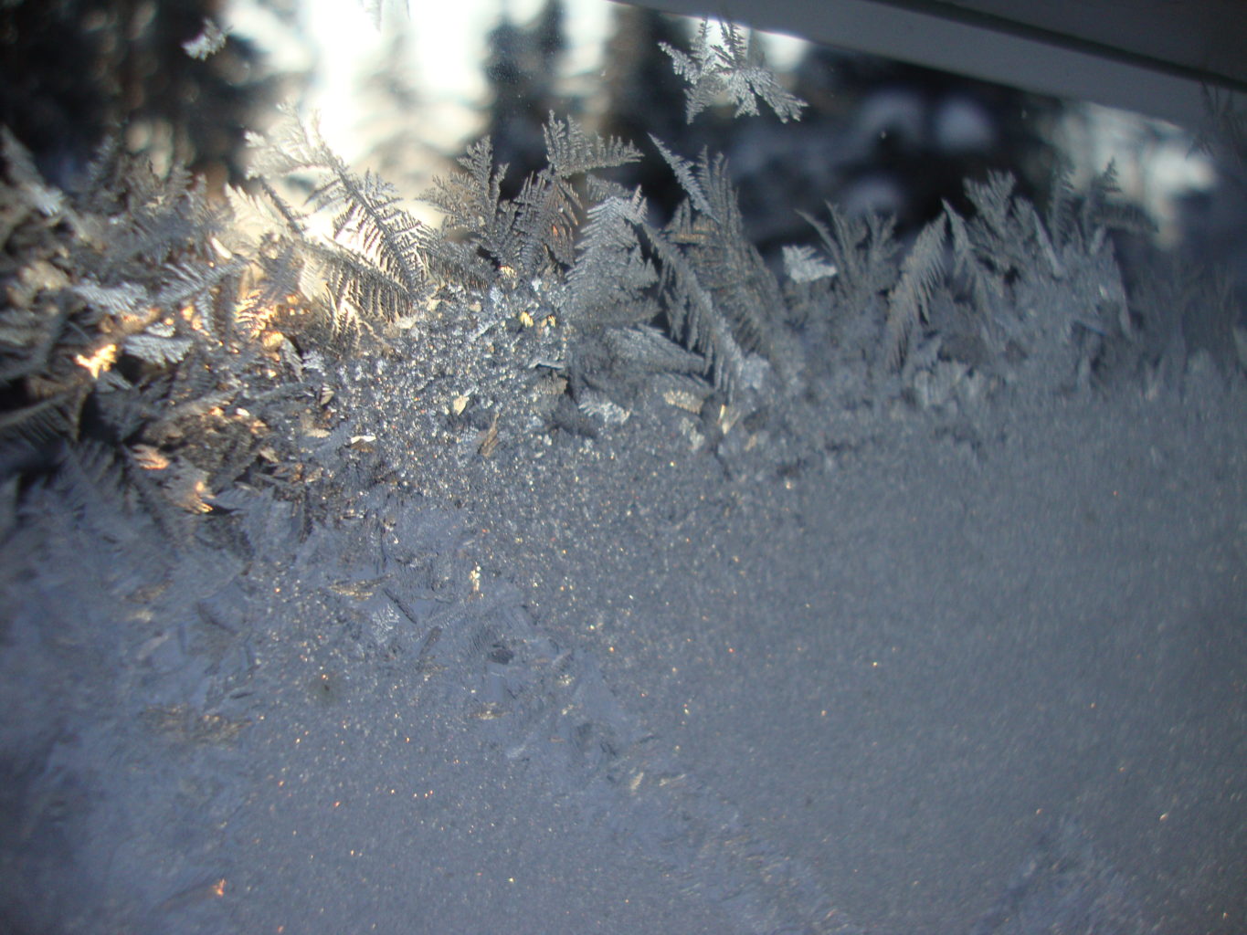 Valokuvaaja: Anja Mustamaa