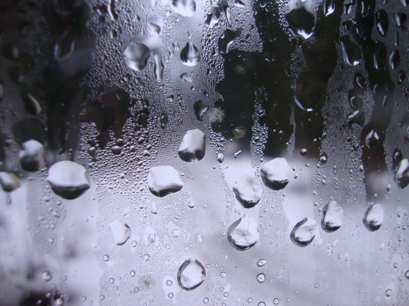 Valokuvaaja: Anja Mustamaa