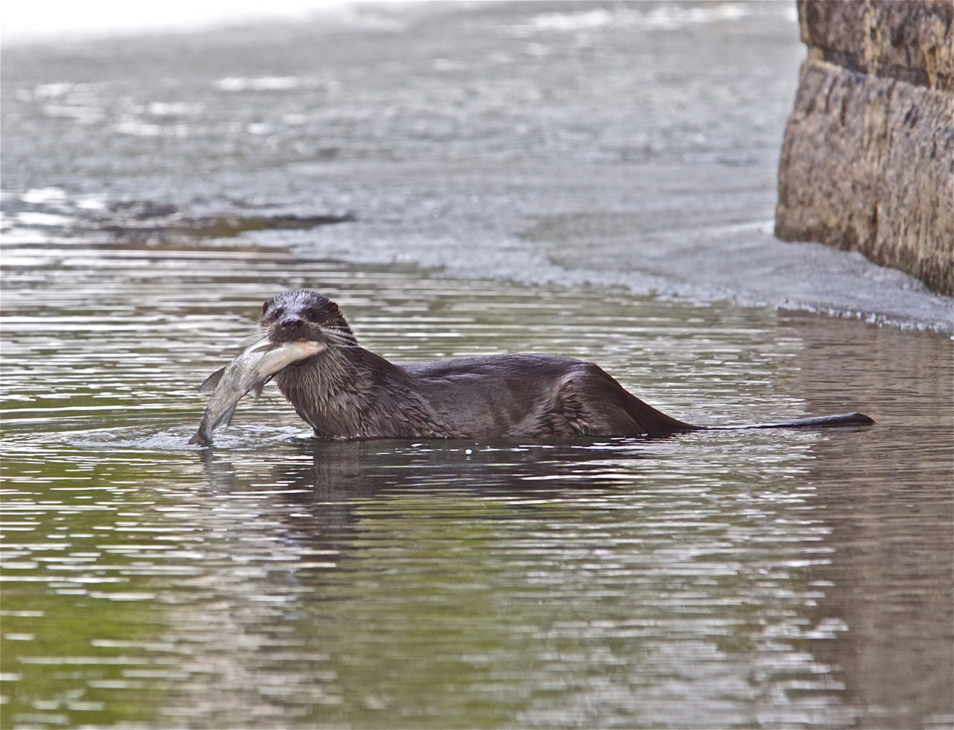Valokuvaaja: Markku Ranta-Eilola