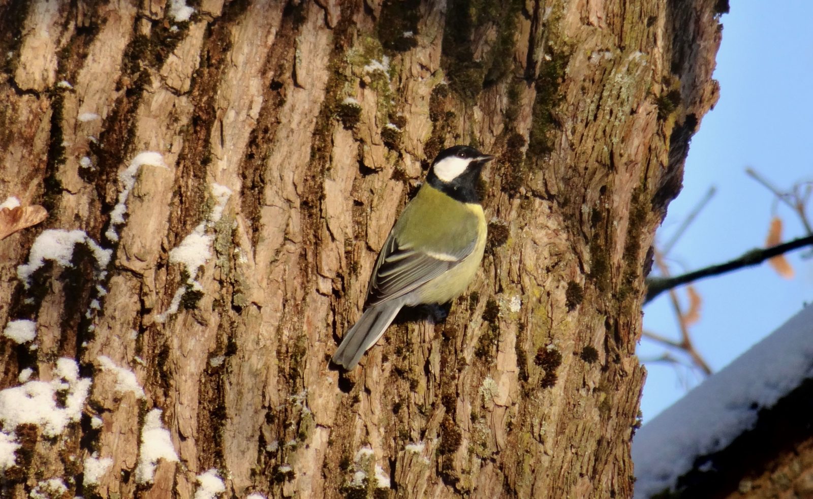 Valokuvaaja: Liisa Niiva-Korpela