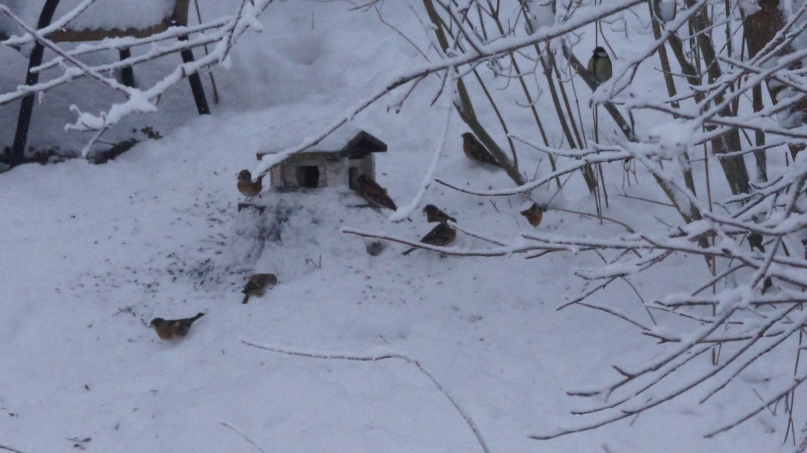 Valokuvaaja: Jenni Heikinniemi