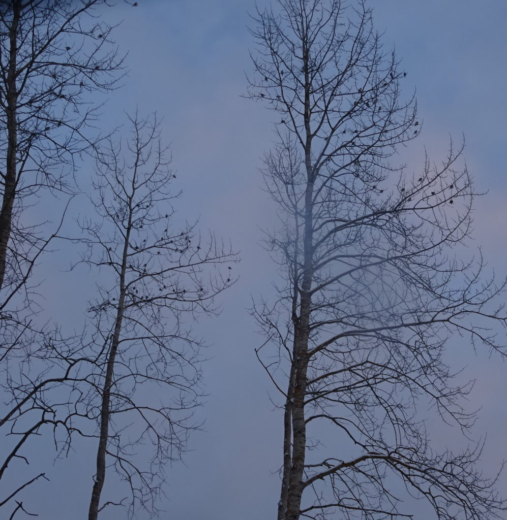 Valokuvaaja: Annele Miettinen