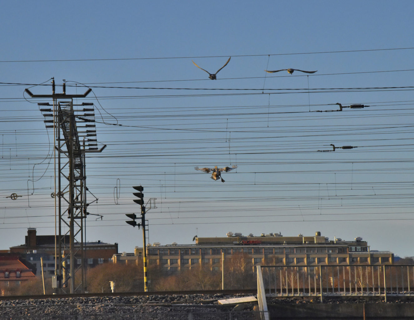 Valokuvaaja: Reijo Juurinen