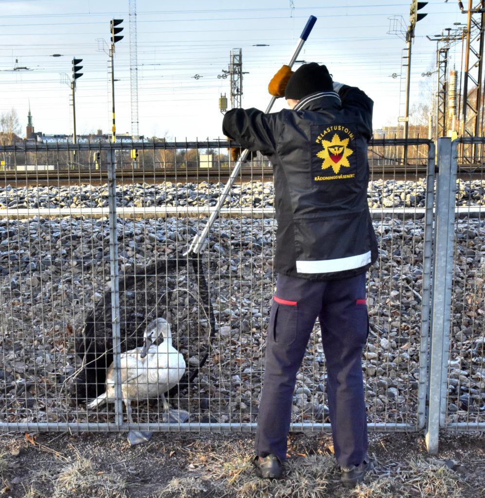 Valokuvaaja: Reijo Juurinen