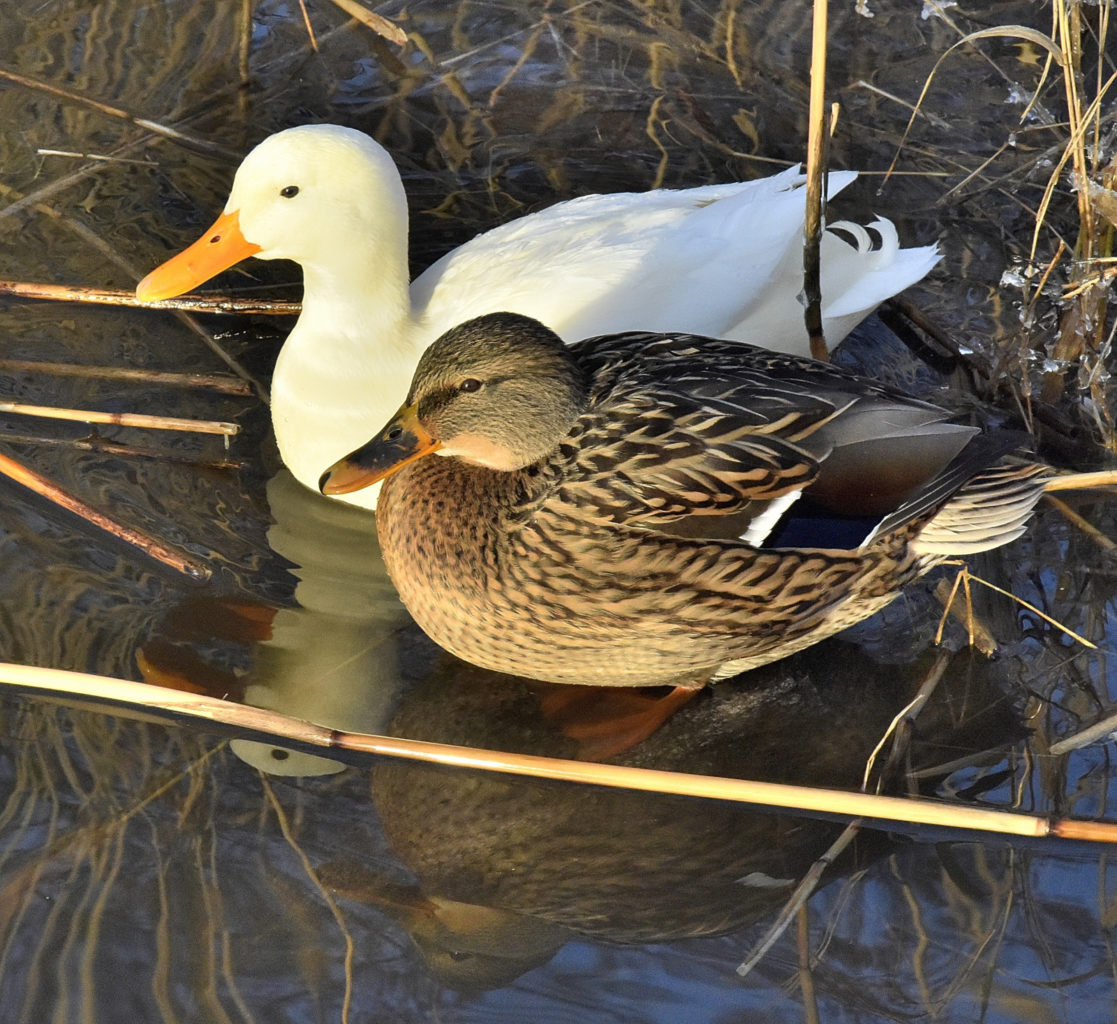 Valokuvaaja: Reijo Juurinen
