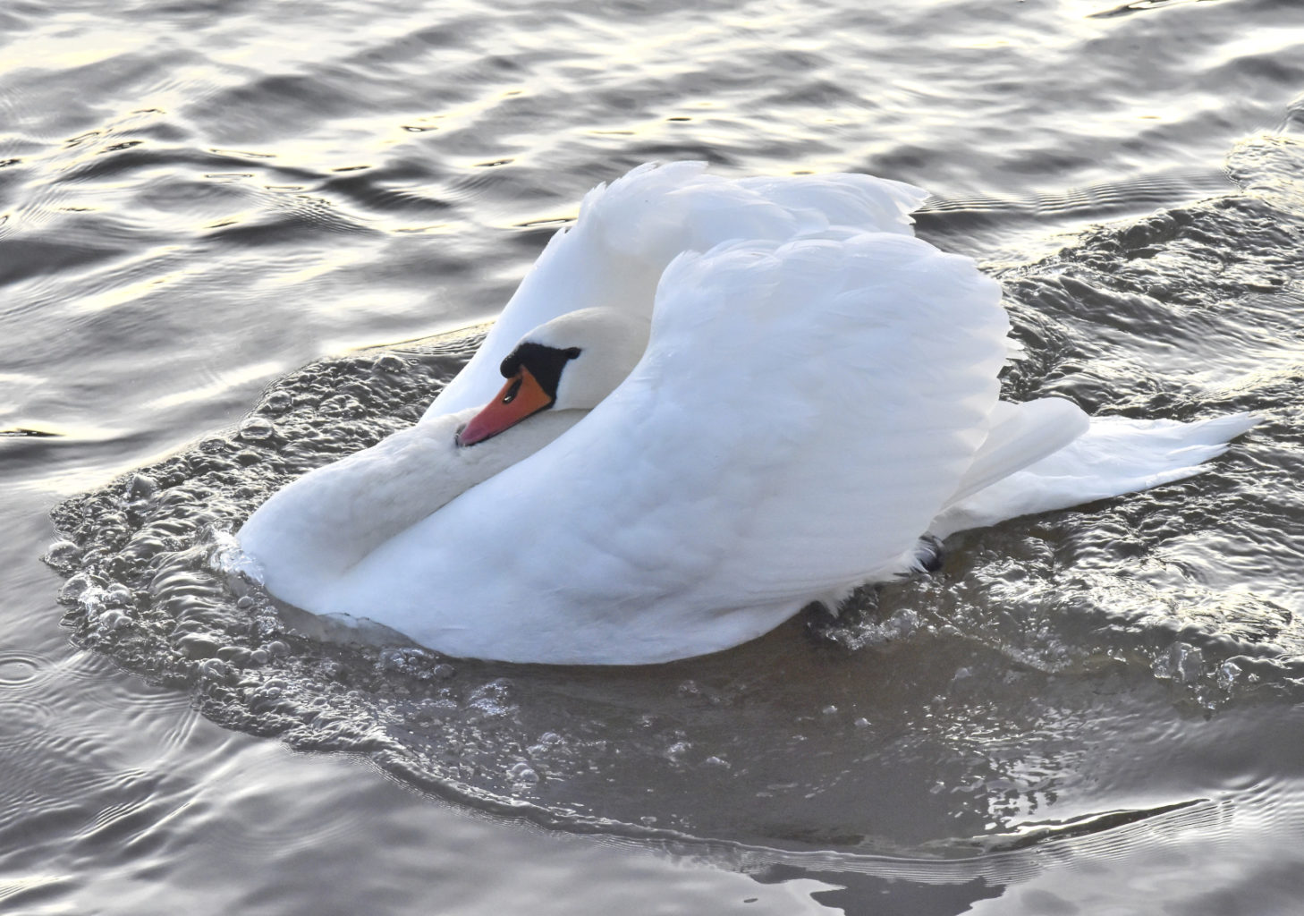 Valokuvaaja: Reijo Juurinen