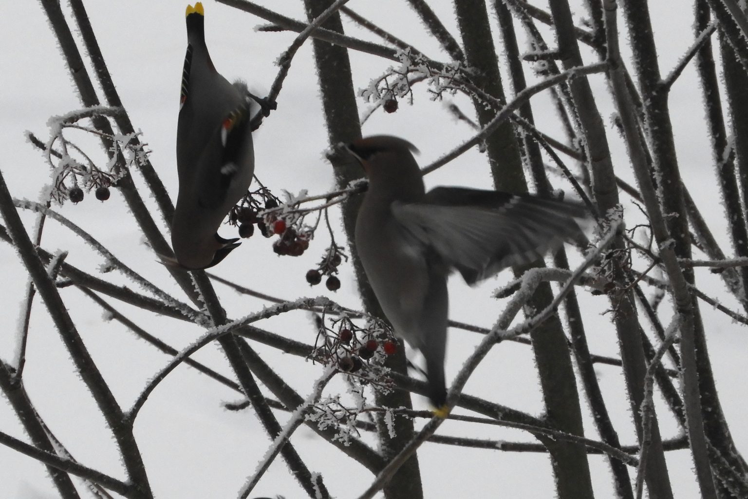 Valokuvaaja: Sirkka Perttu