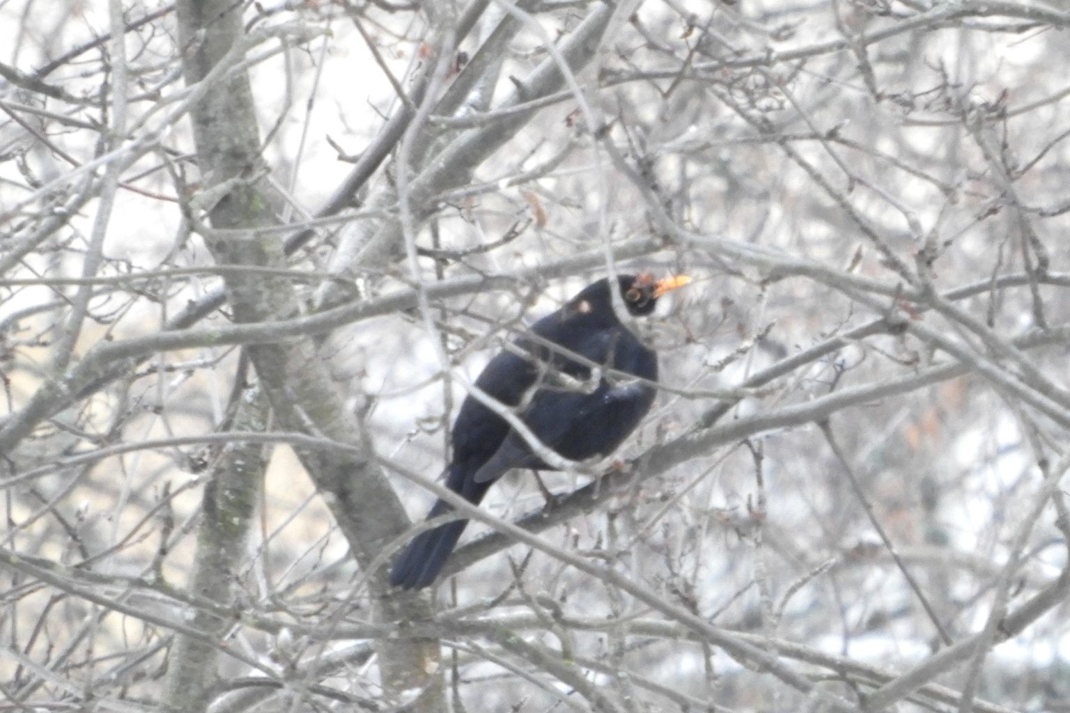 Valokuvaaja: Sirkka Perttu