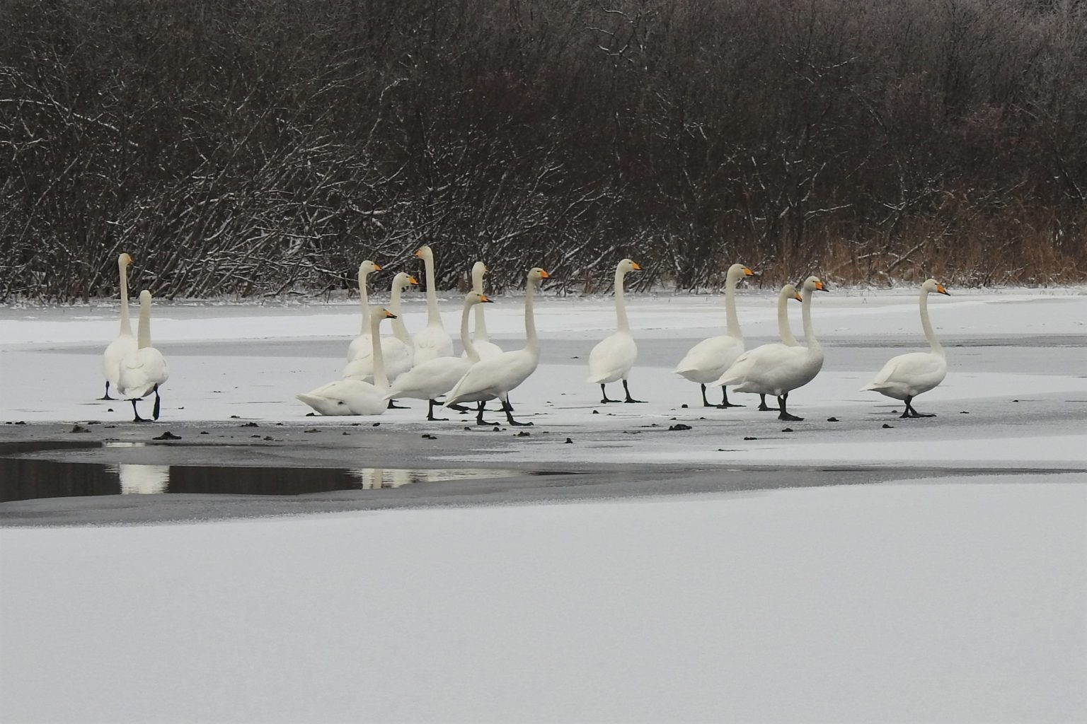 Valokuvaaja: Maarit Siitonen