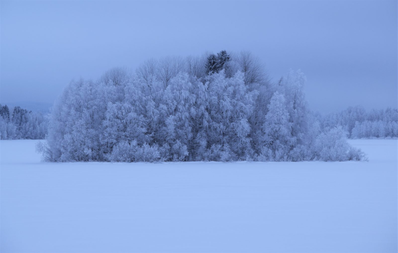 Valokuvaaja: Leena Rissanen