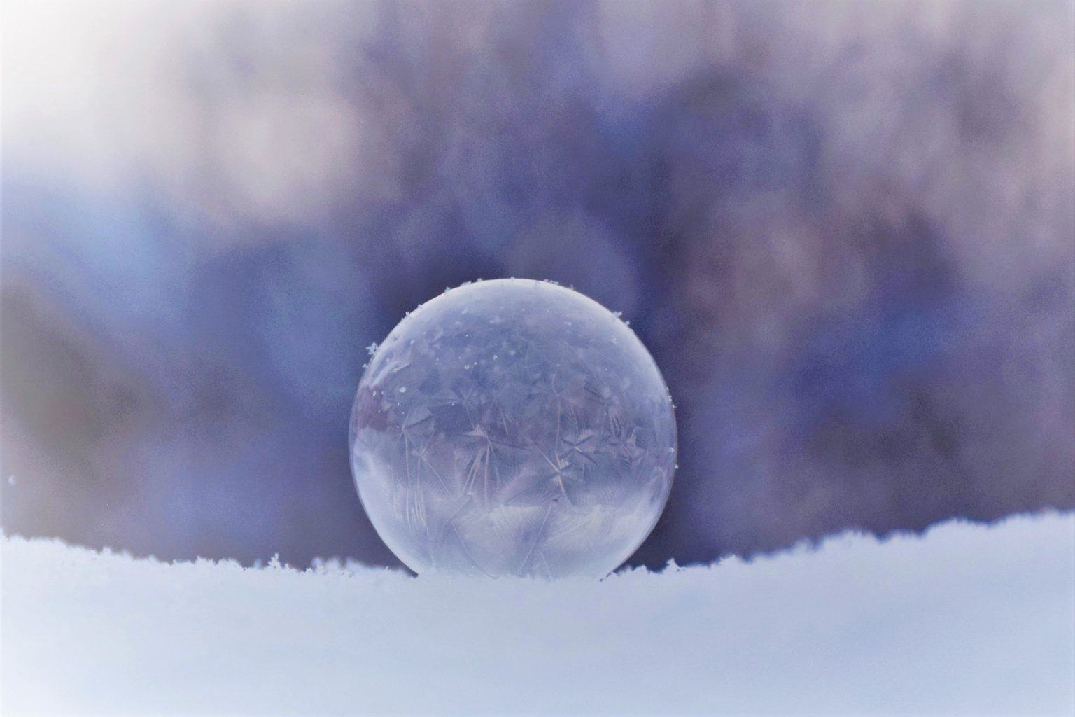 Valokuvaaja: Leena Rissanen