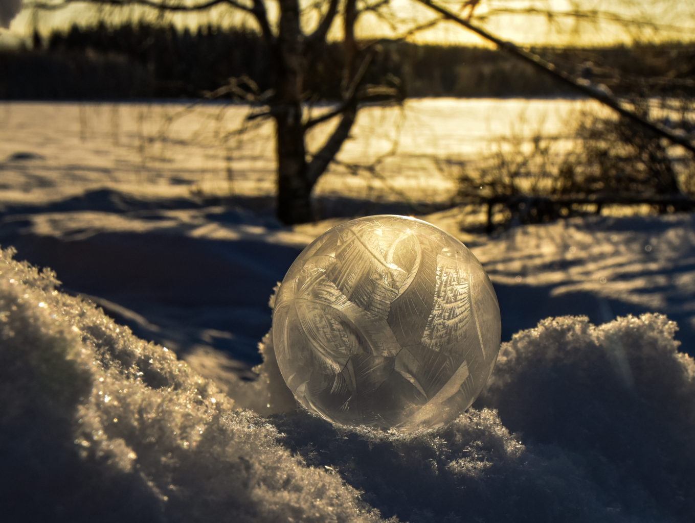 Valokuvaaja: Maija Savolainen