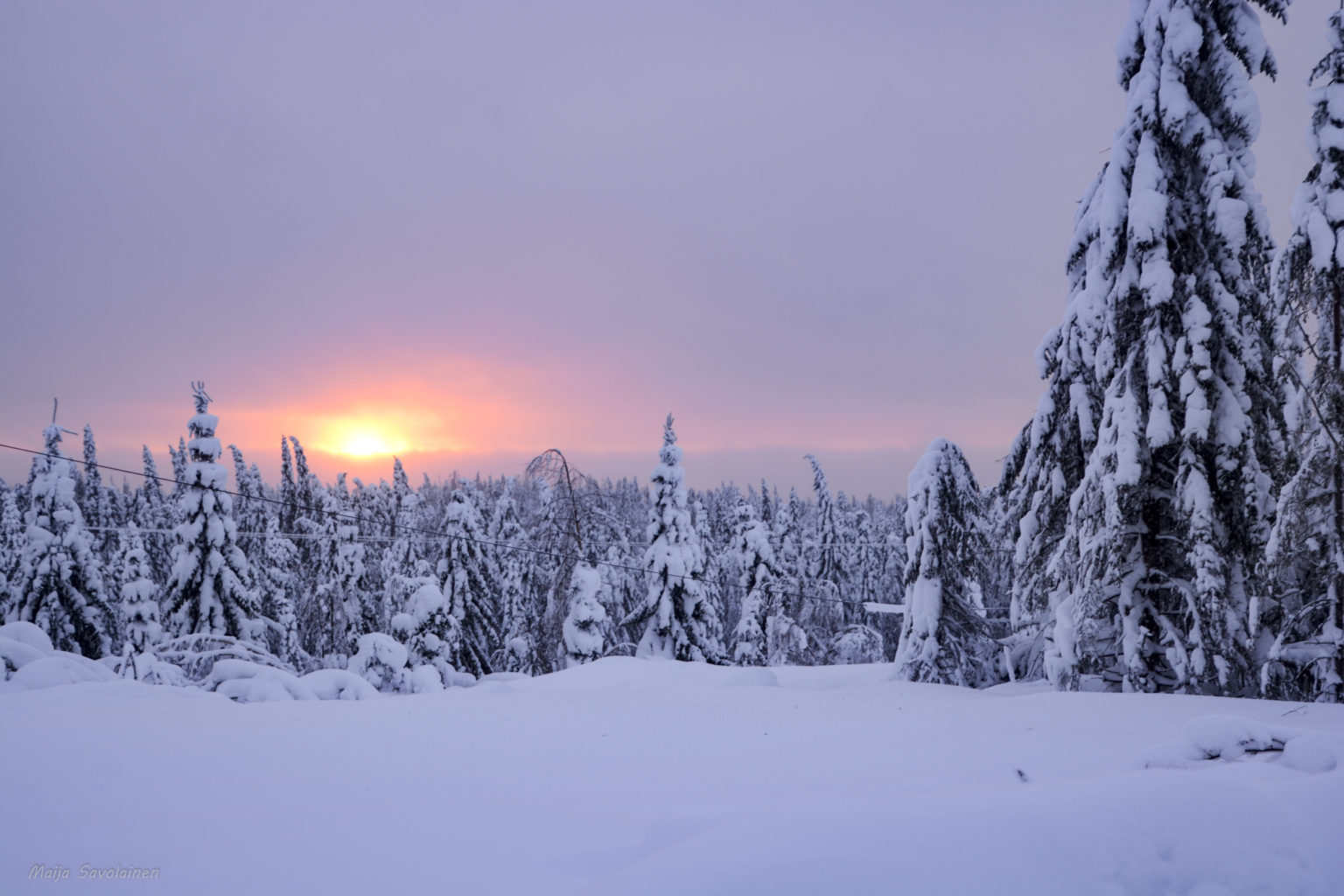 Valokuvaaja: Maija Savolainen