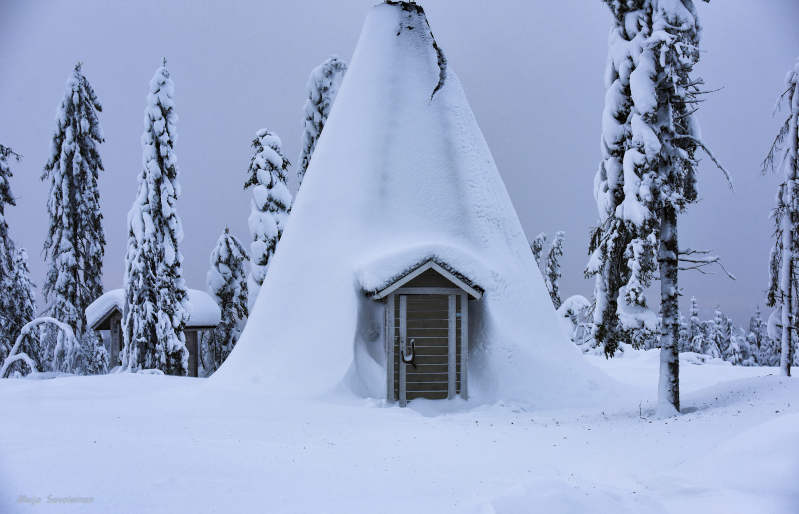 Valokuvaaja: Maija Savolainen
