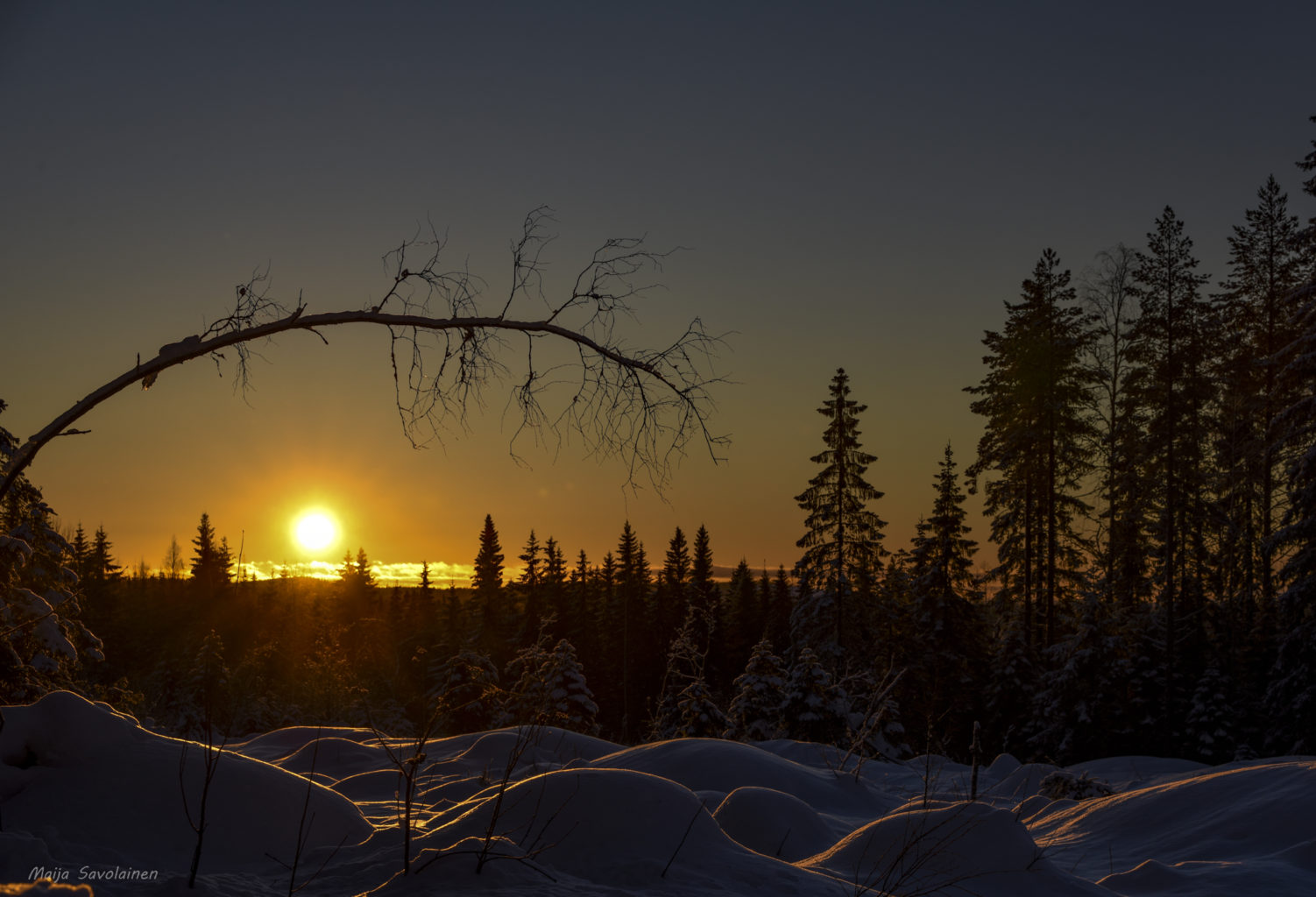 Valokuvaaja: Maija Savolainen