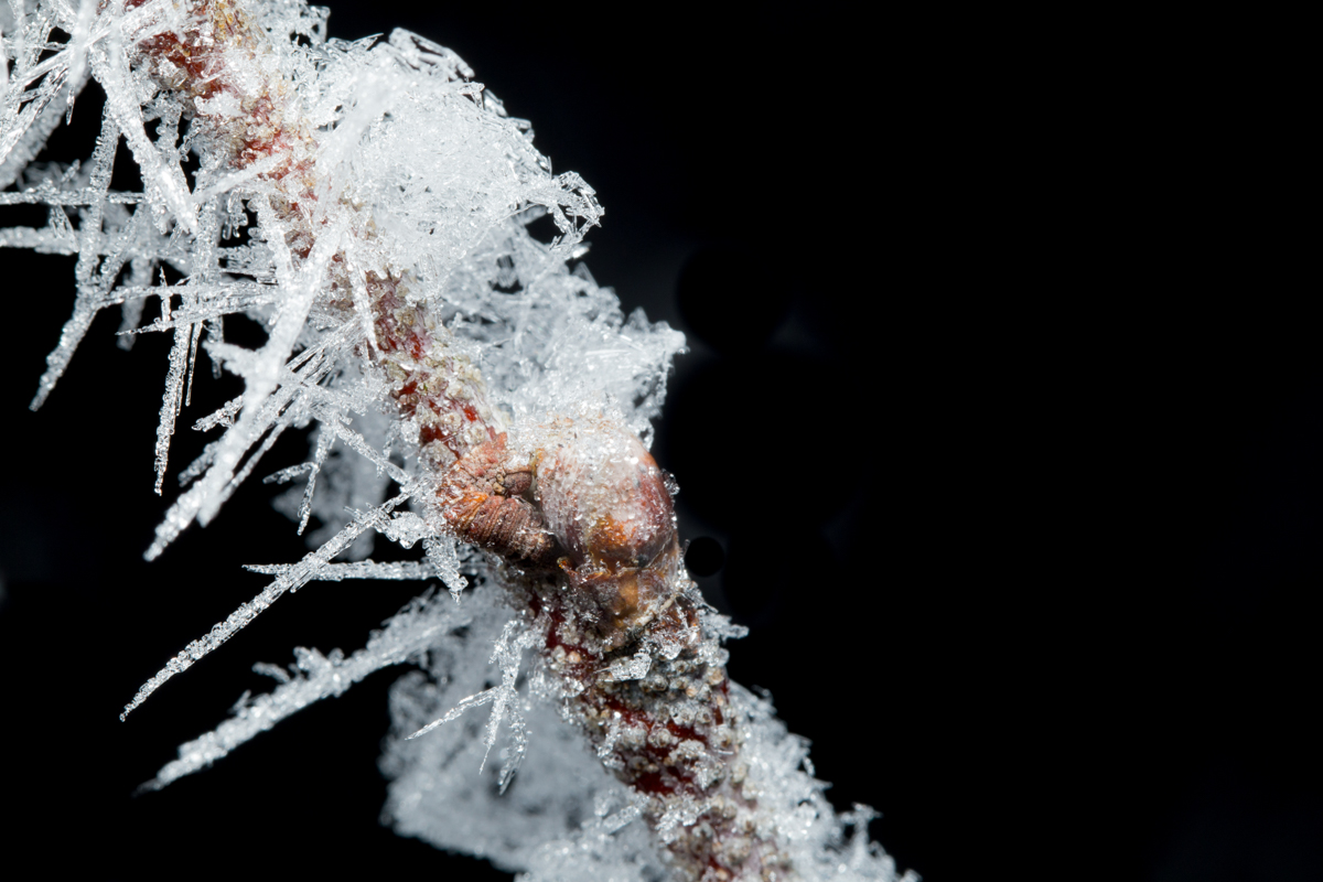 Valokuvaaja: Håkan Söderholm Valokuvaaja: Håkan Söderholm