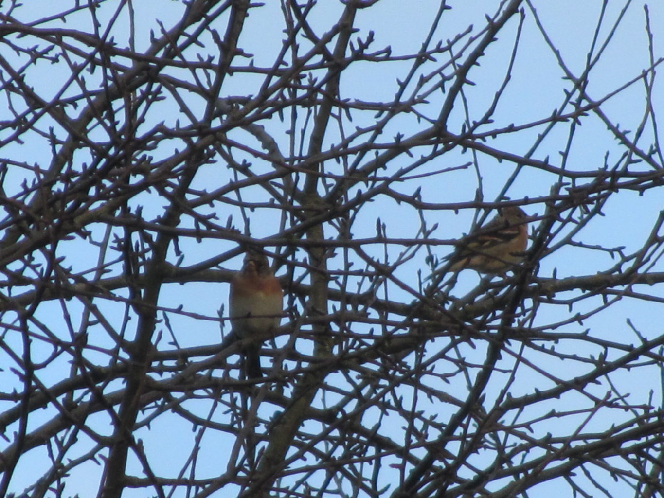 Valokuvaaja: Risto Kangassalo
