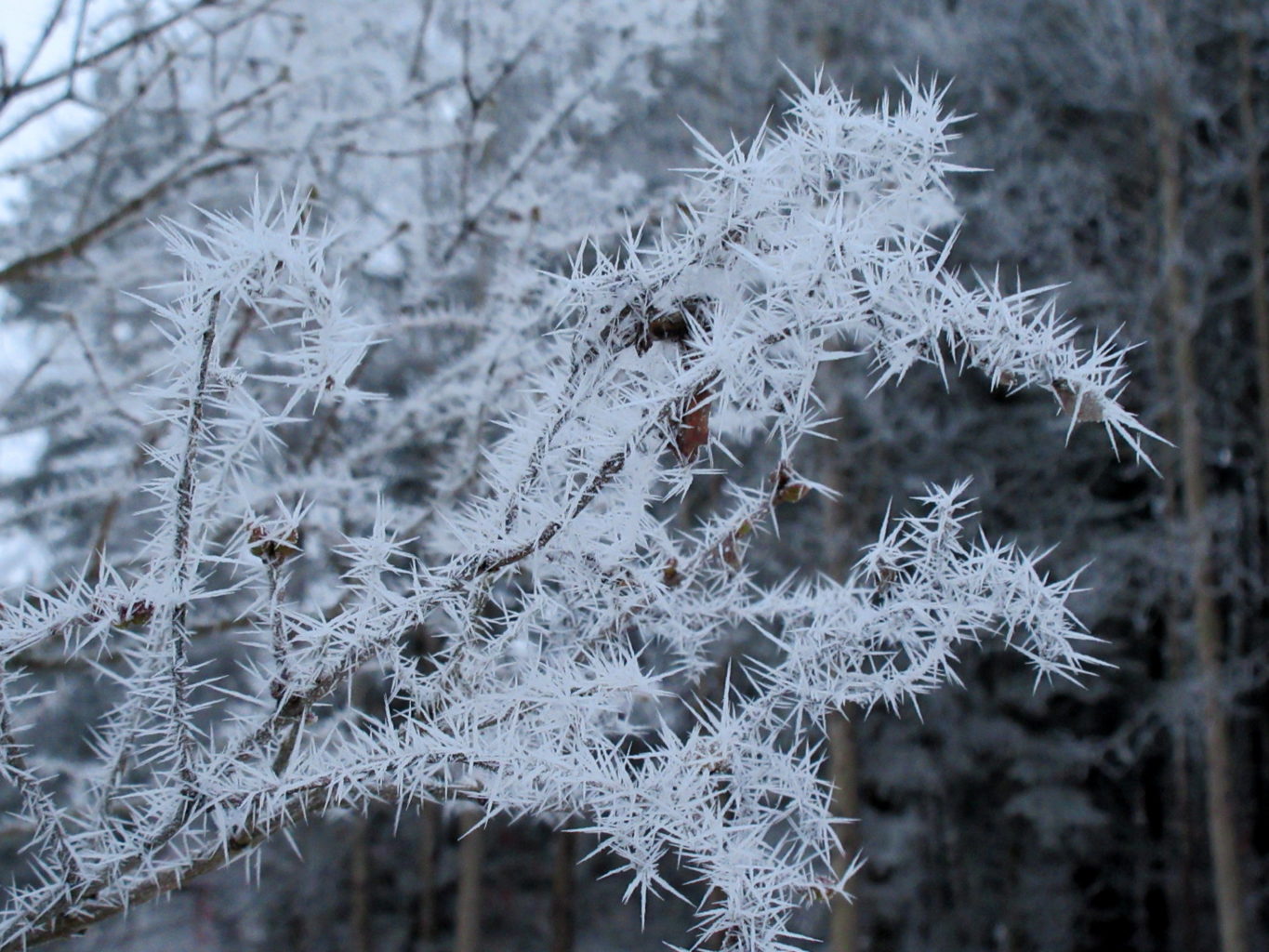 Valokuvaaja: Terttu Rantanen
