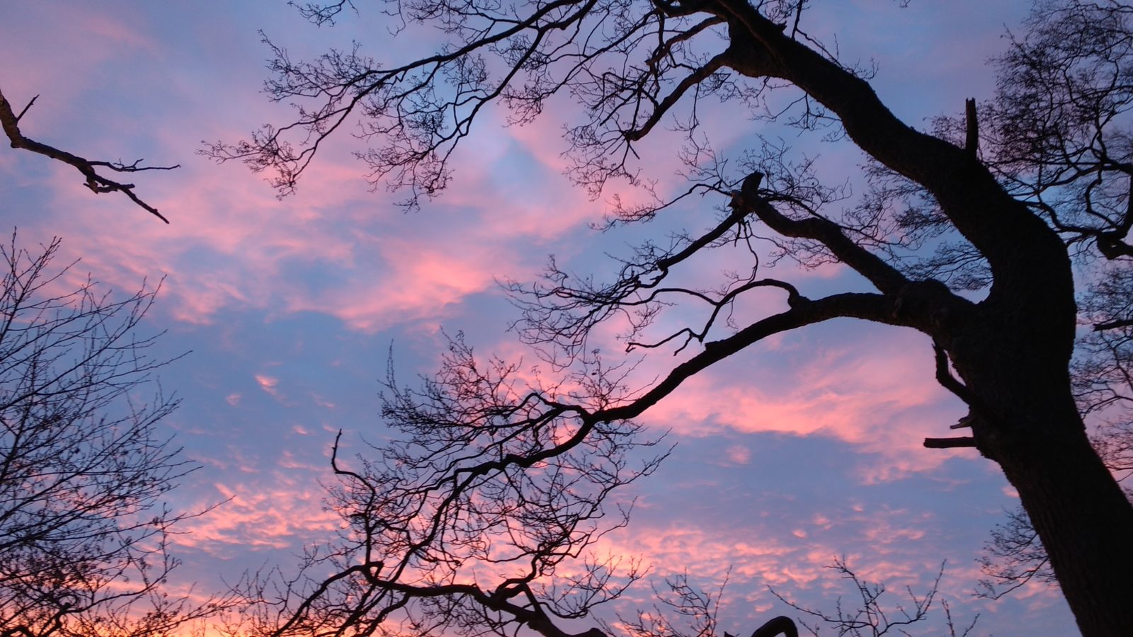 Valokuvaaja: Tuija Faarinen