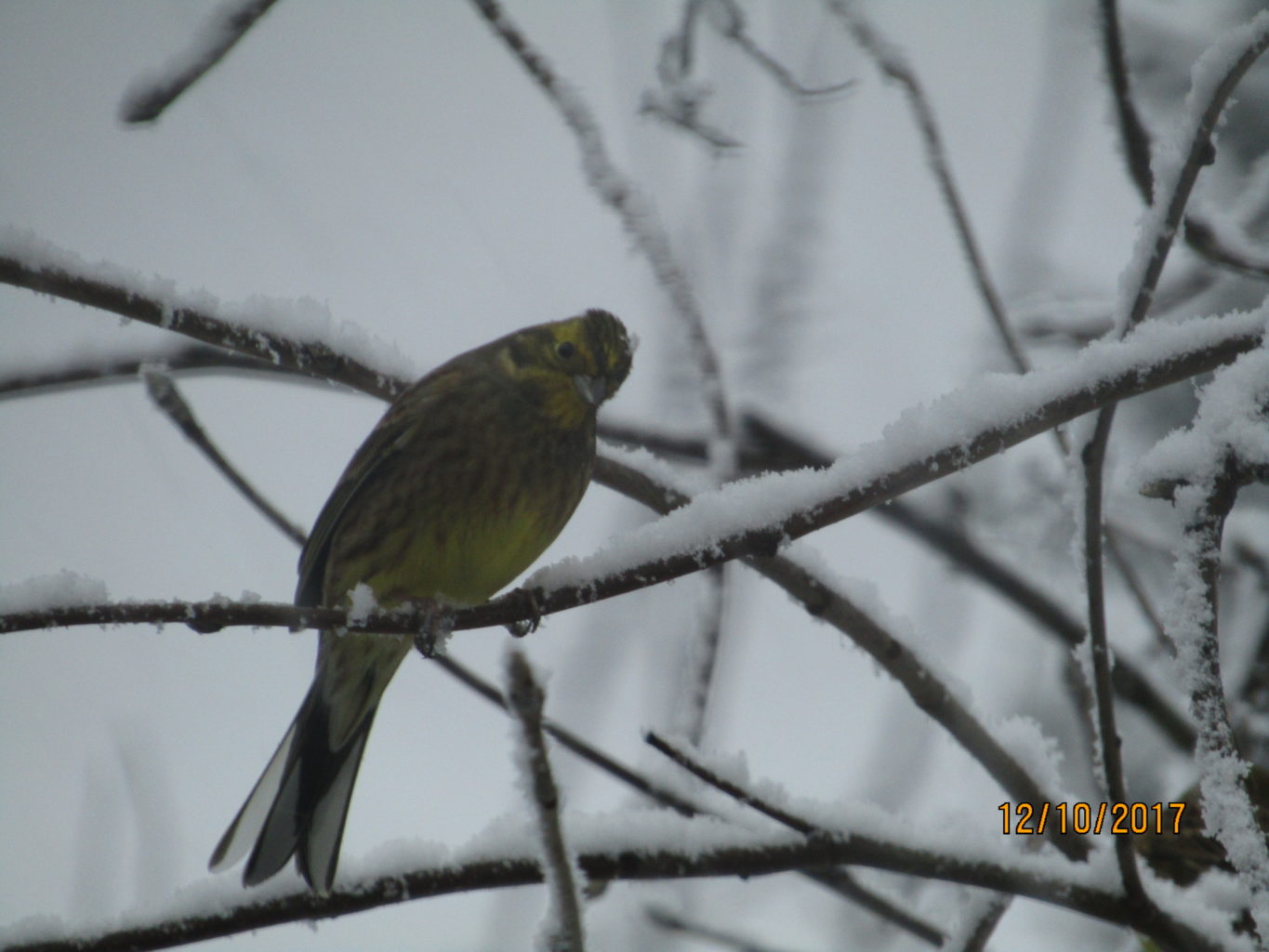 Valokuvaaja: Teija Matikka